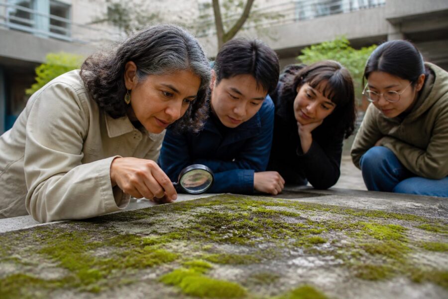 Moss and Biofilm on Concrete: How They Change Surface Heat in Urban Courtyards