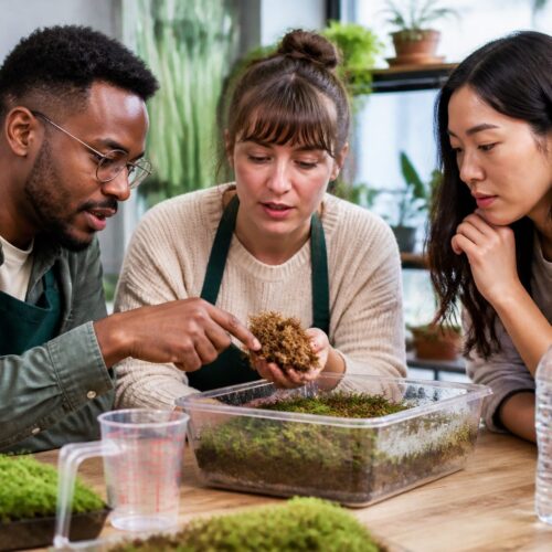 Moss Moisture Retention: Build a Simple Water-Holding Curve for Your Substrate Mix